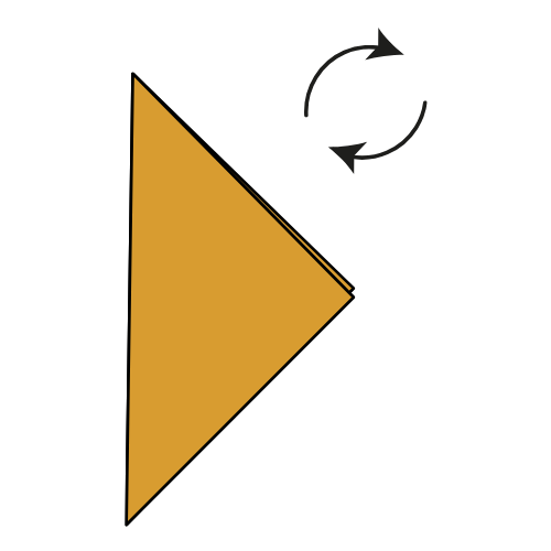 Step 6: Rotate the model