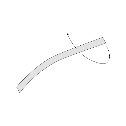 Step 1: Make a loop