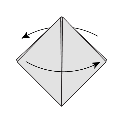 Step 8: Flip one flap each side