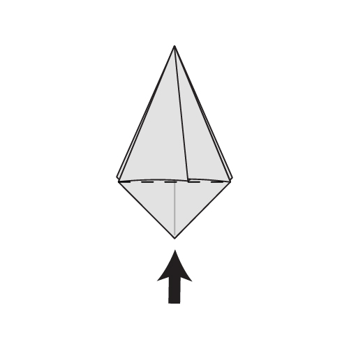 Step 13: Inflate the model