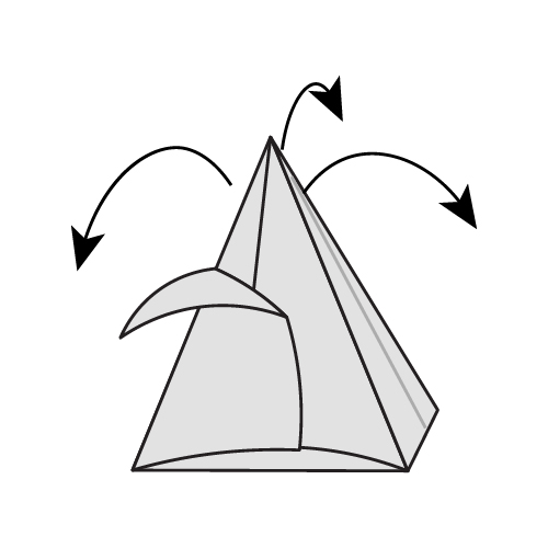 Step 14: Peel out the petals